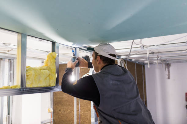 Best Insulation Maintenance and Repair in Murray, KY