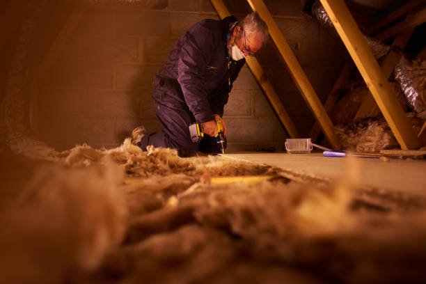 Best Geographic-Specific Insulation Services in Murray, KY